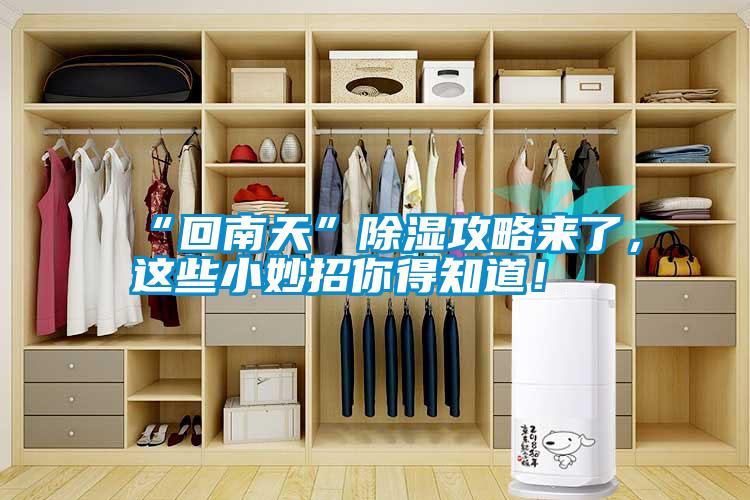 “回南天”除濕攻略來(lái)了，這些小妙招你得知道！