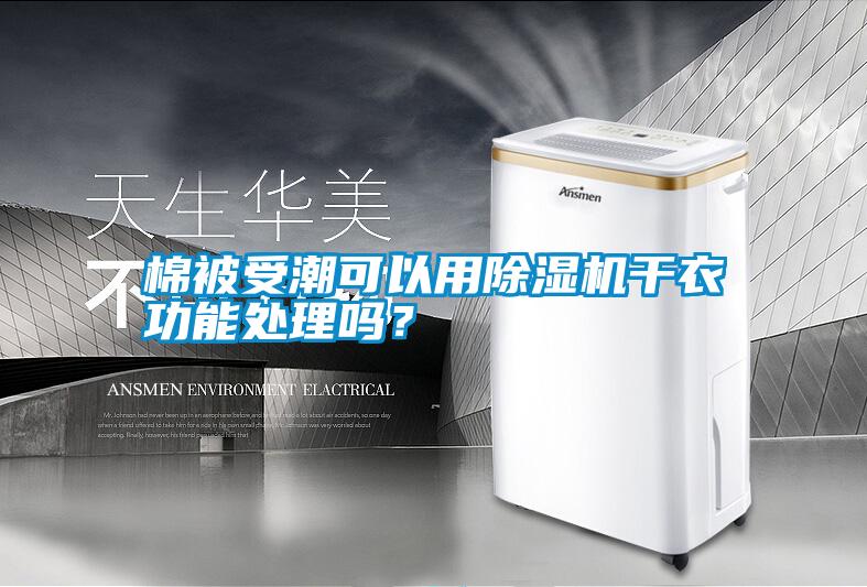 棉被受潮可以用除濕機干衣功能處理嗎？