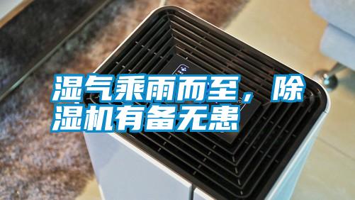 濕氣乘雨而至，除濕機有備無患