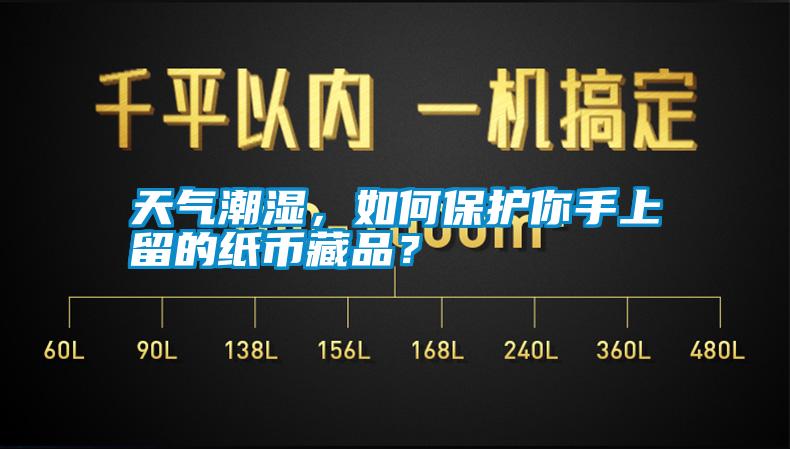 天氣潮濕，如何保護你手上留的紙幣藏品？