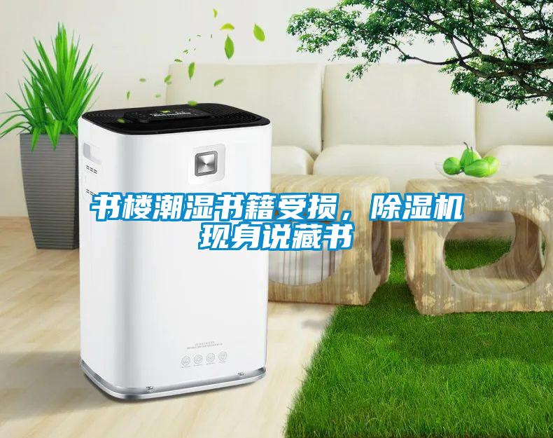 書樓潮濕書籍受損，除濕機現身說藏書