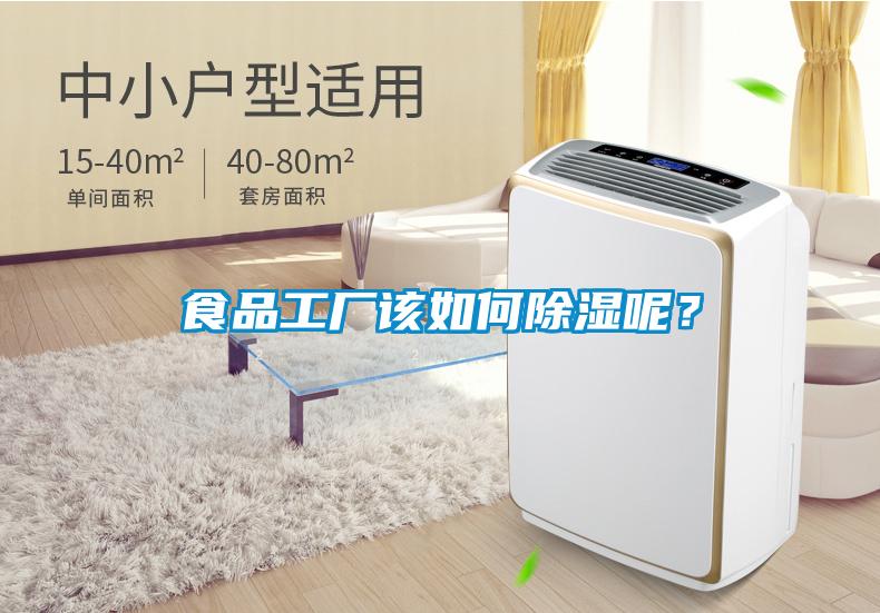 食品工廠該如何除濕呢？
