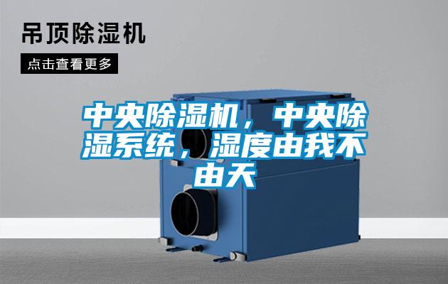 中央除濕機，中央除濕系統，濕度由我不由天