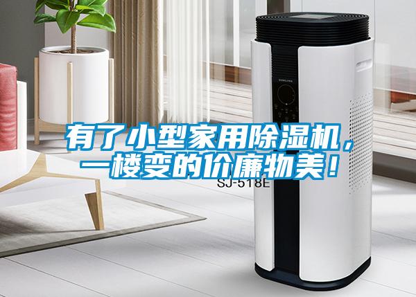 有了小型家用除濕機(jī)，一樓變的價(jià)廉物美！
