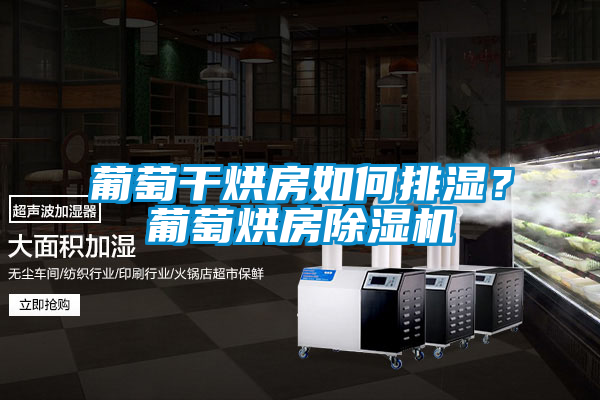 葡萄干烘房如何排濕？葡萄烘房除濕機