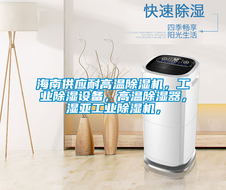 海南供應(yīng)耐高溫除濕機(jī)，工業(yè)除濕設(shè)備，高溫除濕器，濕亞工業(yè)除濕機(jī)，