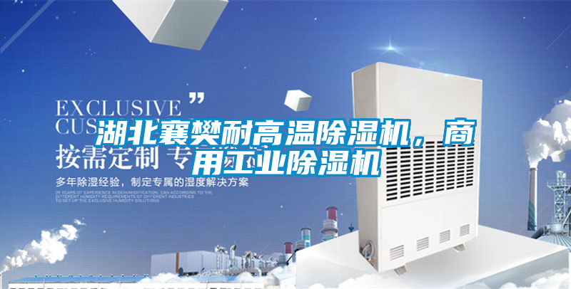 湖北襄樊耐高溫除濕機(jī)，商用工業(yè)除濕機(jī)