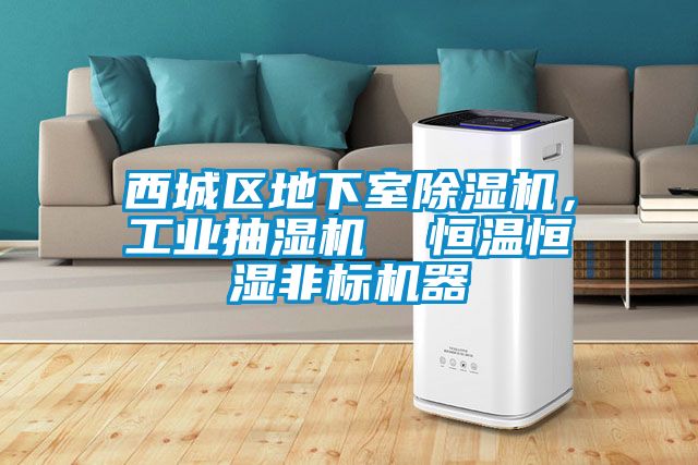 西城區(qū)地下室除濕機，工業(yè)抽濕機  恒溫恒濕非標(biāo)機器