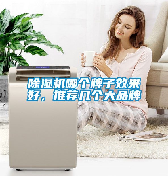 除濕機哪個牌子效果好，推薦幾個大品牌