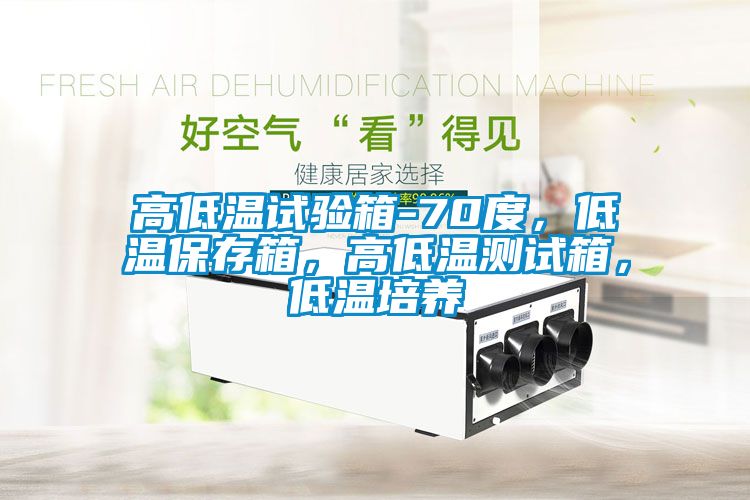 高低溫試驗箱-70度，低溫保存箱，高低溫測試箱，低溫培養
