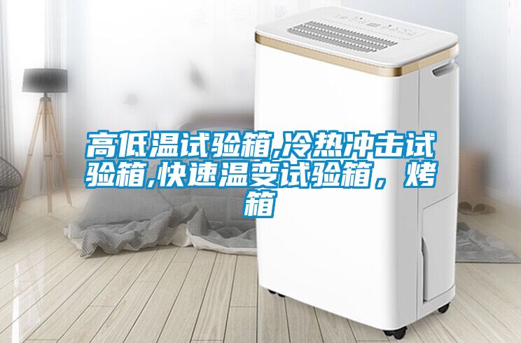 高低溫試驗箱,冷熱沖擊試驗箱,快速溫變試驗箱，烤箱