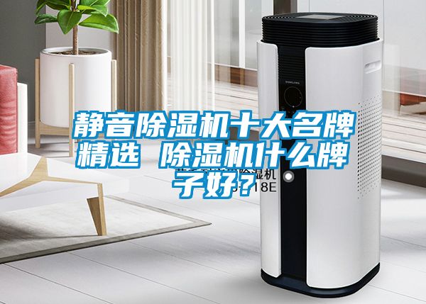 靜音除濕機十大名牌精選 除濕機什么牌子好？