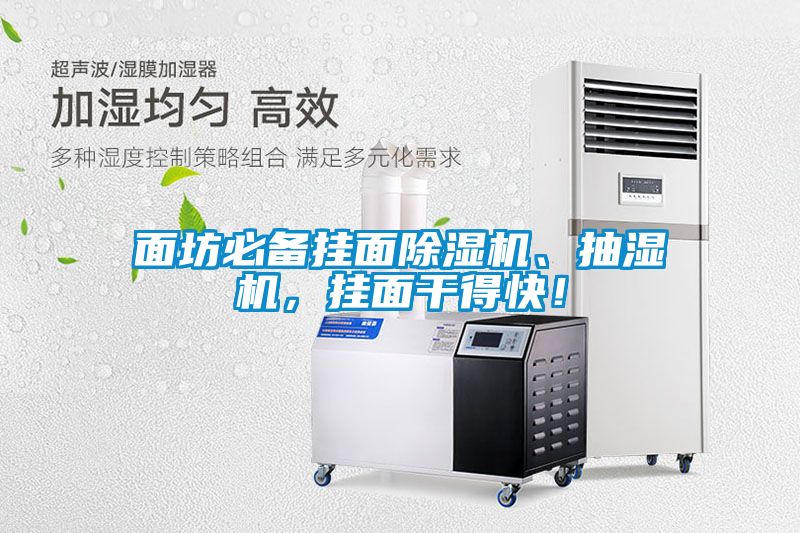 面坊必備掛面除濕機、抽濕機，掛面干得快！