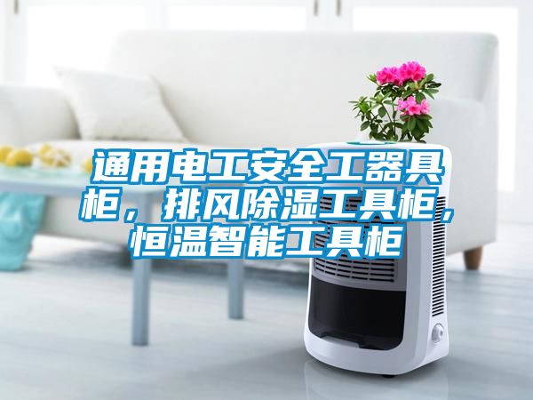 通用電工安全工器具柜，排風除濕工具柜，恒溫智能工具柜