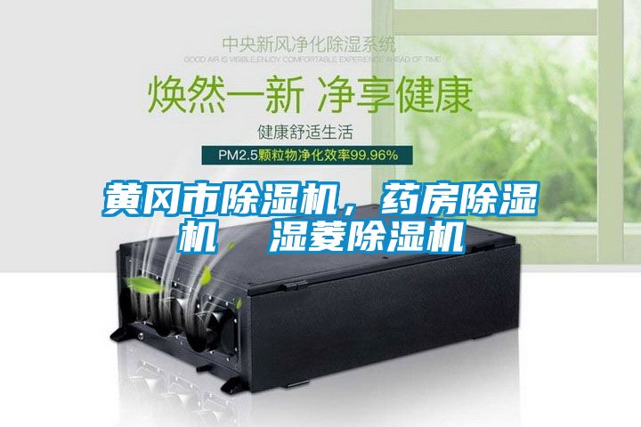 黃岡市除濕機，藥房除濕機  濕菱除濕機