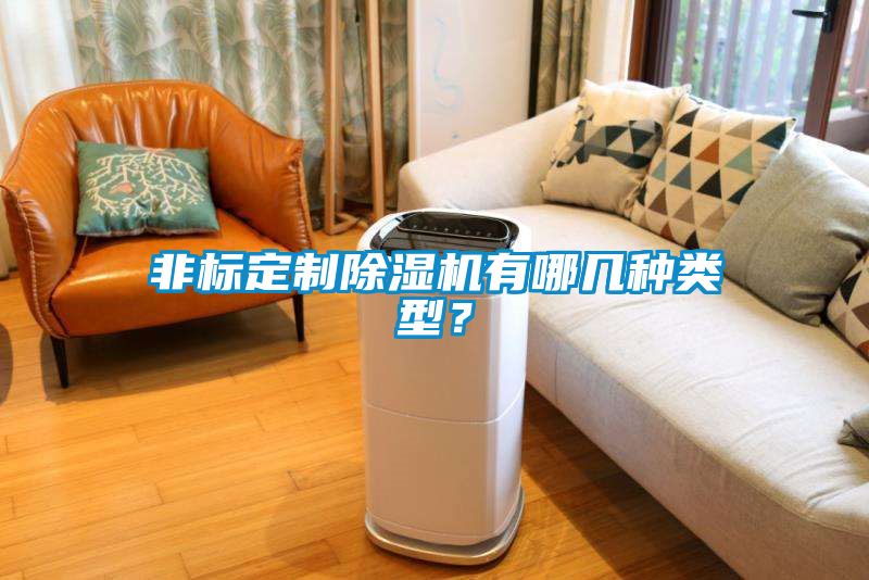 非標定制除濕機有哪幾種類型？