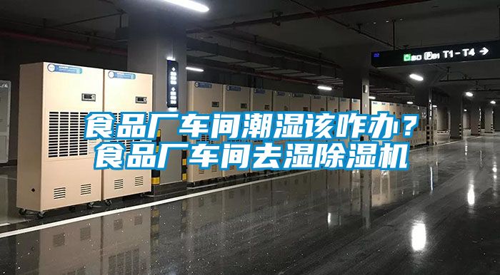 食品廠車間潮濕該咋辦？食品廠車間去濕除濕機
