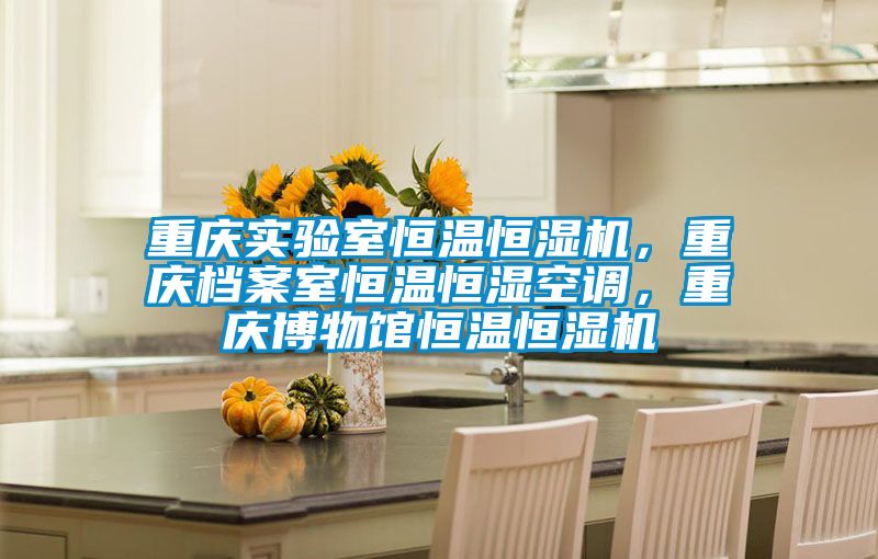 重慶實(shí)驗(yàn)室恒溫恒濕機(jī)，重慶檔案室恒溫恒濕空調(diào)，重慶博物館恒溫恒濕機(jī)
