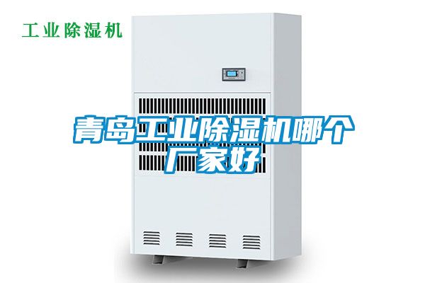 青島工業(yè)除濕機(jī)哪個廠家好