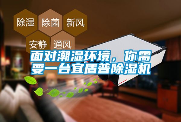 面對潮濕環(huán)境，你需要一臺宜盾普除濕機