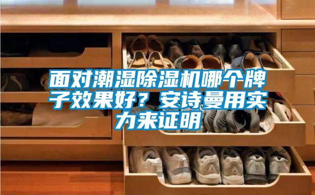 面對潮濕除濕機哪個牌子效果好？安詩曼用實力來證明