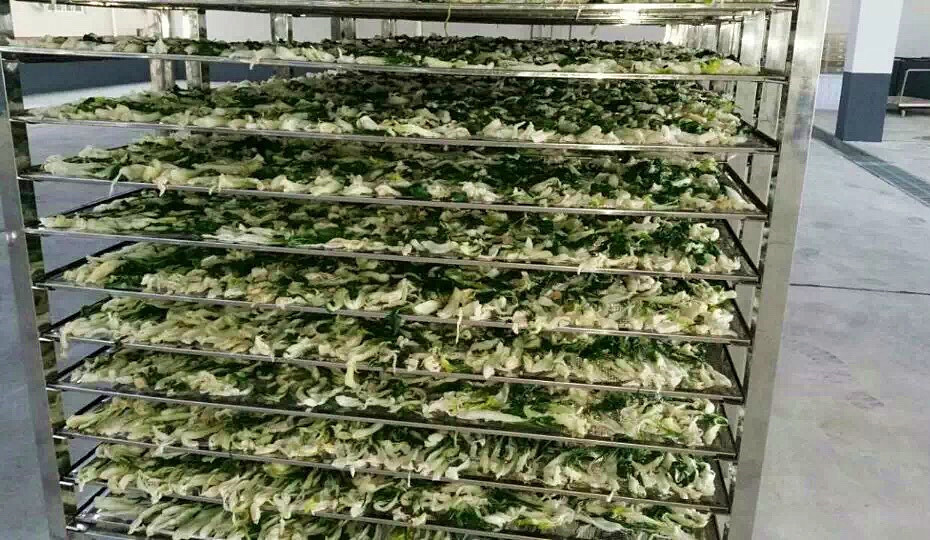 菜干需求一直都很大，蔬菜烘干機很有市場
